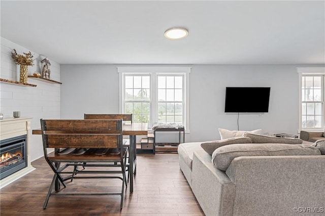 living room featuring hardwood / wood-style flooring