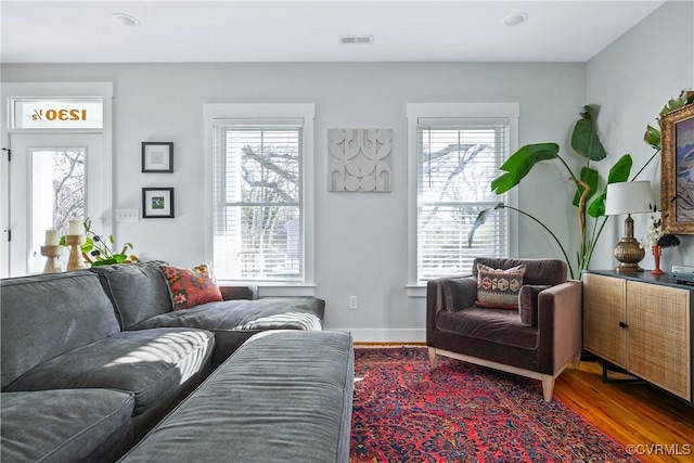 living room featuring wood-type flooring and a healthy amount of sunlight