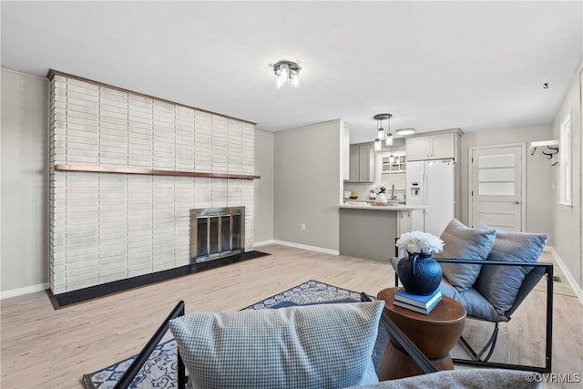 living room featuring a fireplace and light hardwood / wood-style floors