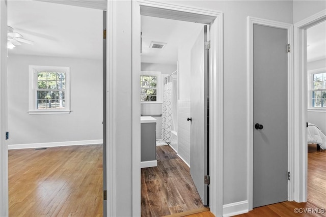 hall with wood-type flooring and plenty of natural light