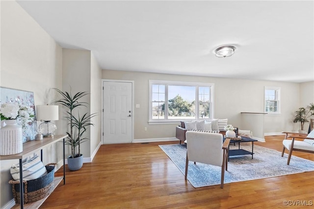 living room with light wood-type flooring