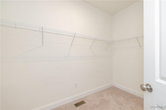 spacious closet featuring light colored carpet