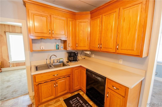 kitchen with dishwasher and sink