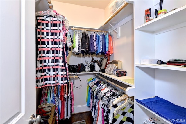 spacious closet with wood finished floors