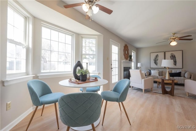 dining space with a wealth of natural light, ceiling fan, and light wood-type flooring