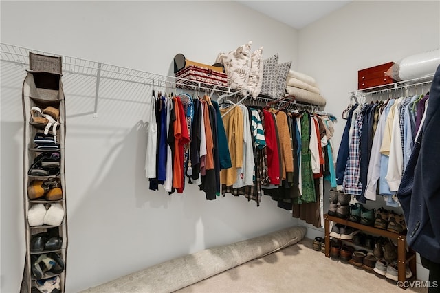 spacious closet featuring carpet floors