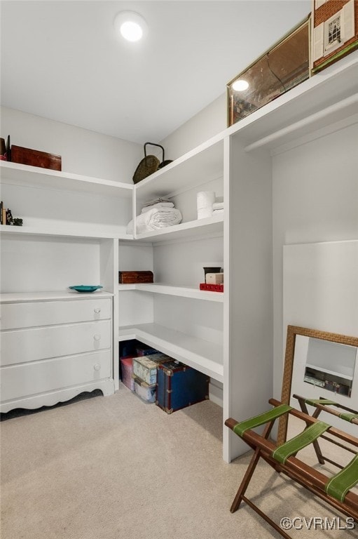 spacious closet with light carpet