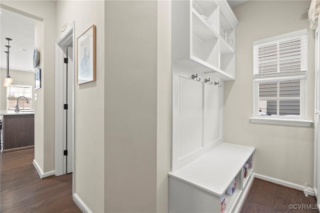 mudroom featuring sink and dark hardwood / wood-style floors