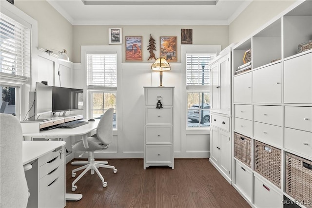 office area with crown molding and dark wood-type flooring