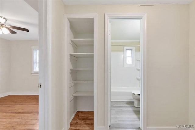 view of closet