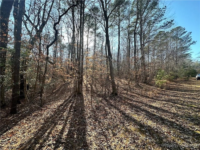 5.2 Indian Springs Ln, Gloucester VA, 23061 land for sale