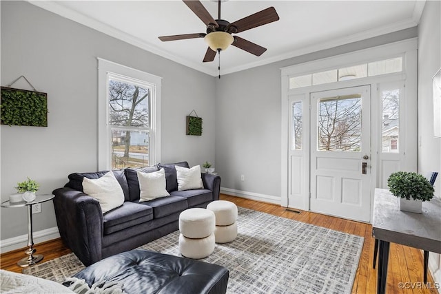 living room with crown molding, ceiling fan, and hardwood / wood-style flooring