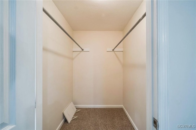 walk in closet featuring carpet flooring