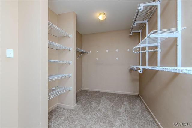 walk in closet featuring light colored carpet