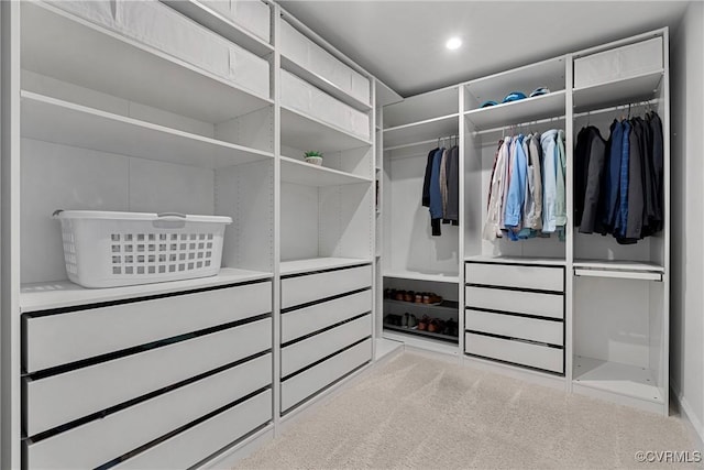 walk in closet featuring carpet floors