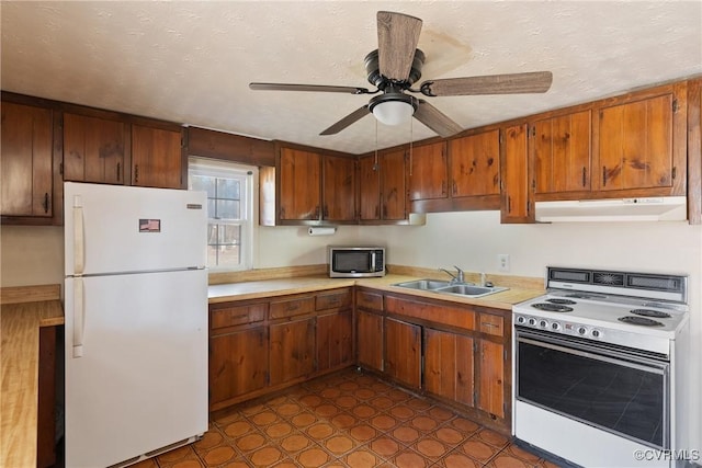 kitchen featuring ceiling fan, sink, a textured ceiling, and white appliances