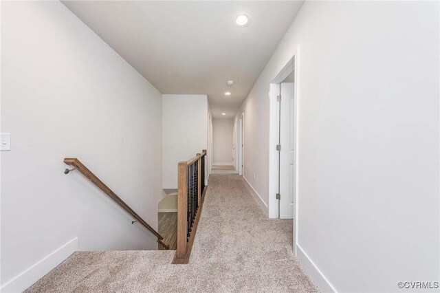 staircase featuring carpet floors