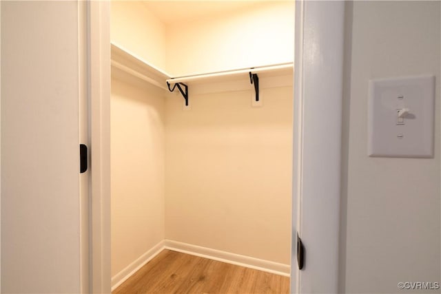 spacious closet featuring light hardwood / wood-style floors