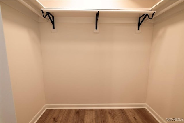 spacious closet featuring hardwood / wood-style floors