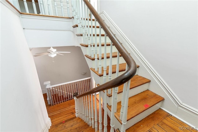 staircase with hardwood / wood-style flooring and ceiling fan