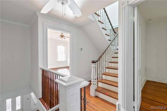 stairs with crown molding, wood-type flooring, and ceiling fan