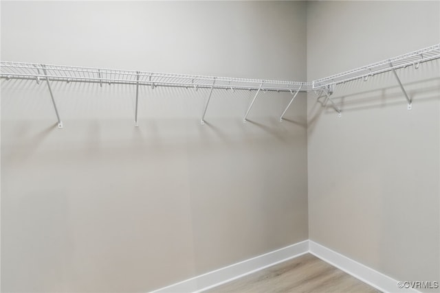 2280 Hensley Rd, Mineral, VA 23117 - walk in closet with light wood-style floors