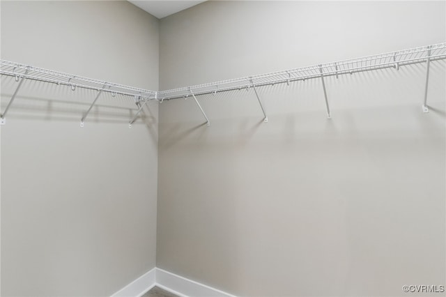 2280 Hensley Rd, Mineral, VA 23117 - view of spacious closet