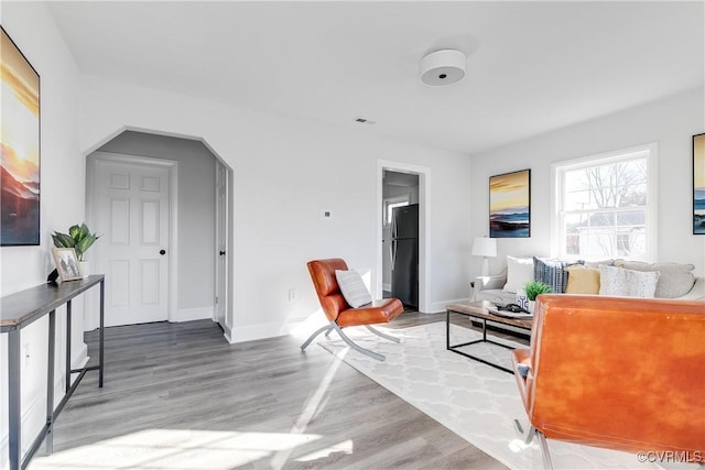 living room featuring light hardwood / wood-style flooring