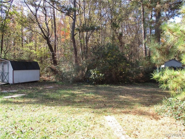 view of yard featuring a storage unit