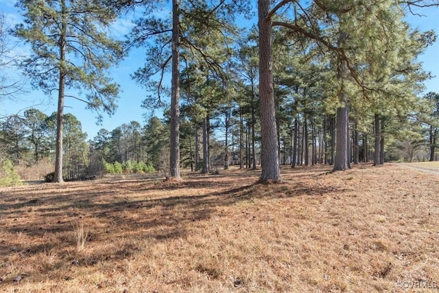 view of local wilderness