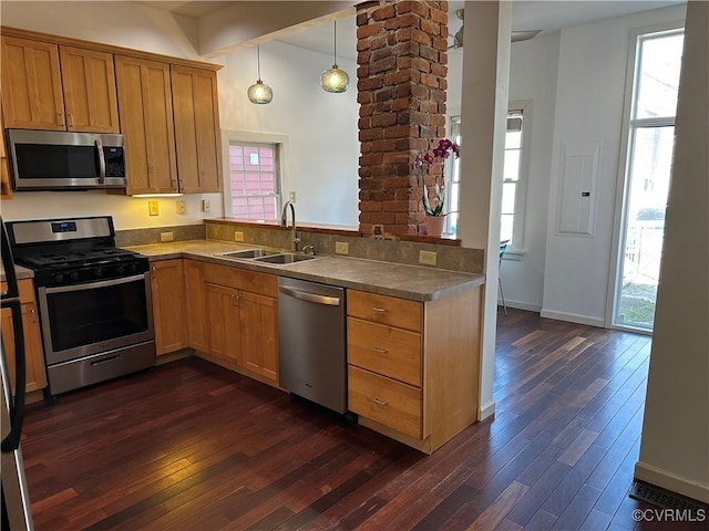 kitchen featuring dark wood-style floors, appliances with stainless steel finishes, a sink, and a wealth of natural light