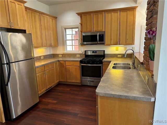 kitchen featuring appliances with stainless steel finishes, dark wood-type flooring, and a sink