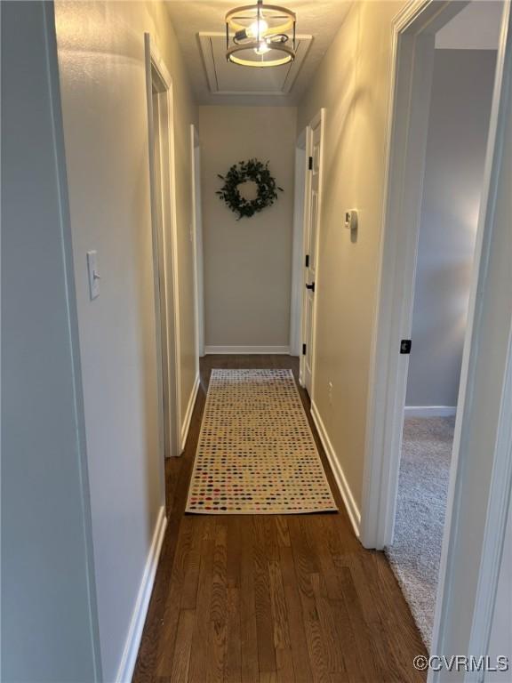 hallway with dark hardwood / wood-style flooring