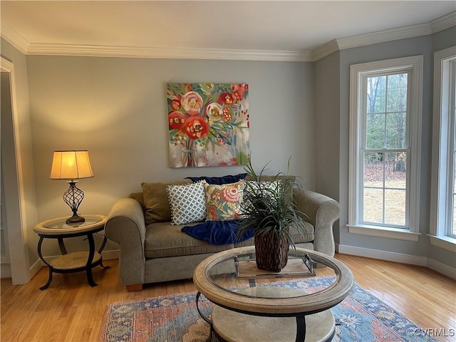 living room with crown molding and light hardwood / wood-style flooring