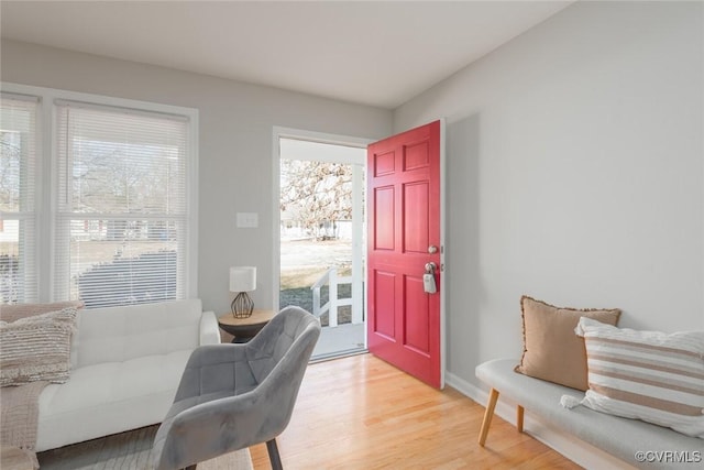 foyer entrance with light hardwood / wood-style flooring