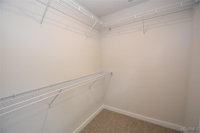 spacious closet featuring carpet floors
