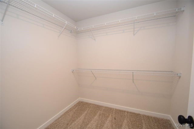 walk in closet with carpet