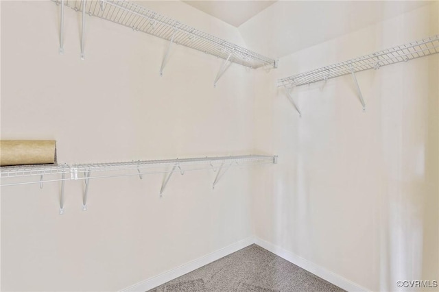 walk in closet with carpet flooring