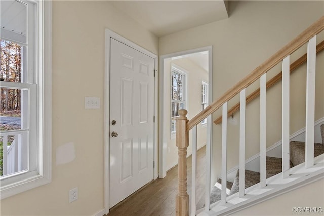 foyer featuring dark hardwood / wood-style flooring