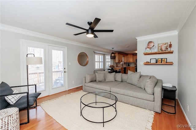 living room with ceiling fan, ornamental molding, and light wood-type flooring