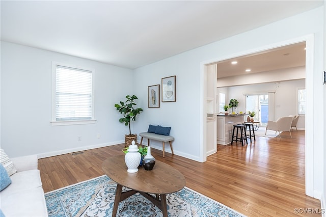 living room with hardwood / wood-style flooring