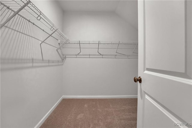 walk in closet with carpet floors