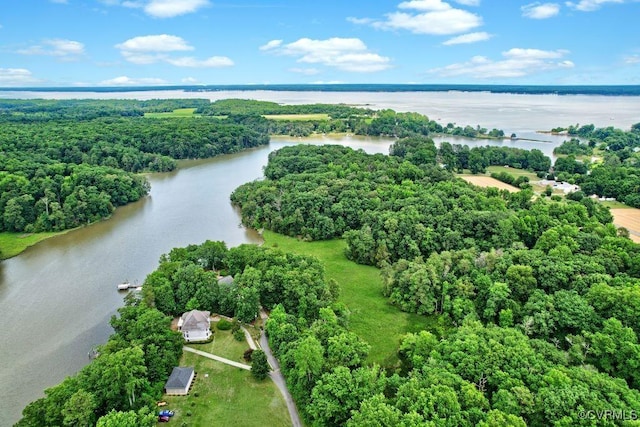 bird's eye view featuring a water view and a view of trees