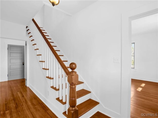 10217 Bill Tuck Hwy, Virgilina, VA 24598 - photo 3