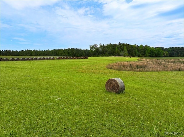 10217 Bill Tuck Hwy, Virgilina, VA 24598 - photo 22