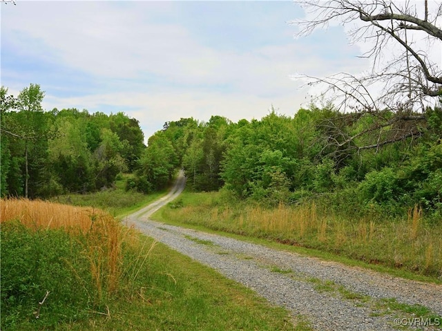 10217 Bill Tuck Hwy, Virgilina, VA 24598 - photo 34