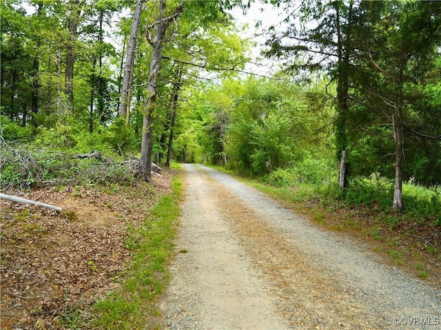 10217 Bill Tuck Hwy, Virgilina, VA 24598 - photo 38