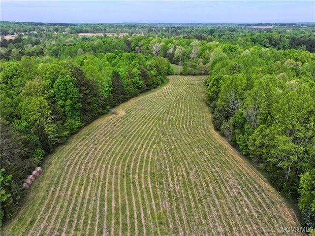 10217 Bill Tuck Hwy, Virgilina, VA 24598 - photo 39