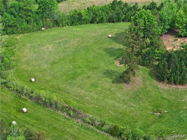 10217 Bill Tuck Hwy, Virgilina, VA 24598 - photo 40