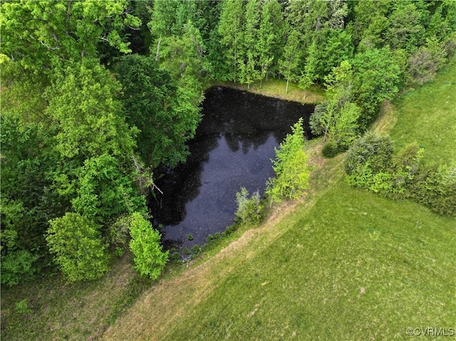 10217 Bill Tuck Hwy, Virgilina, VA 24598 - photo 42